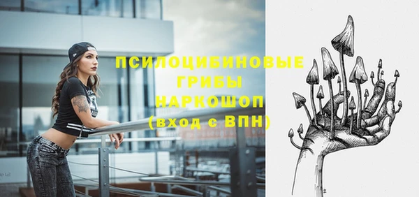 каннабис Дмитров