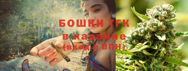 сатива Весьегонск